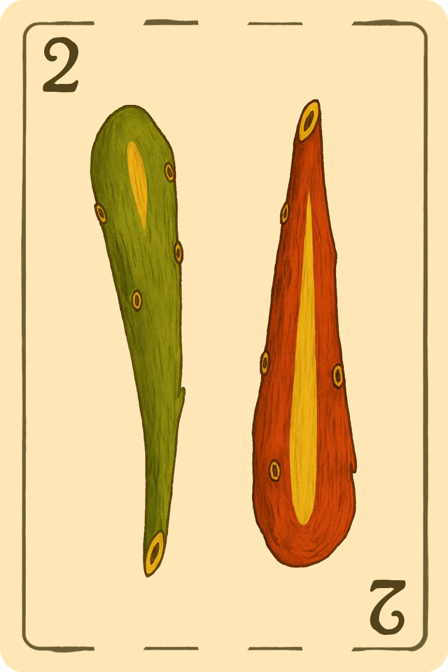 2🌵